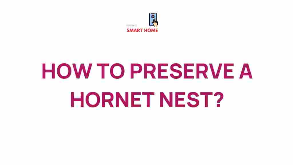 hornet-nest-preservation