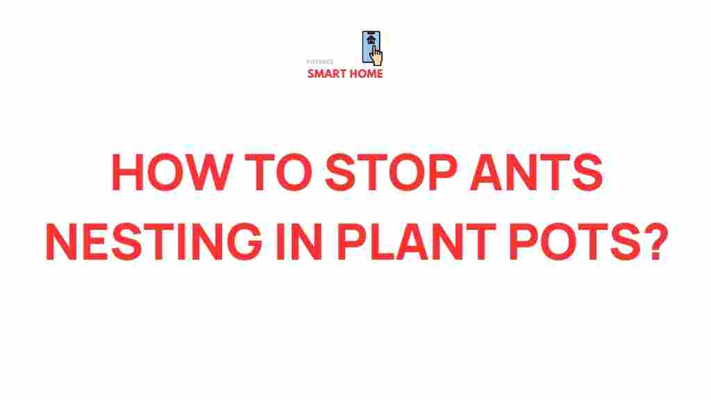 preventing-ants-nesting-plant-pots