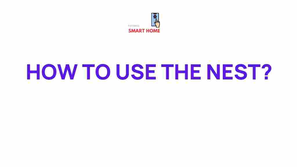 nest-building-secrets