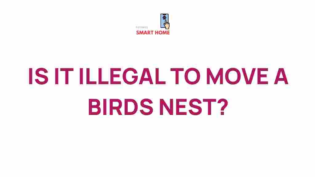 bird-nest-relocation-legal