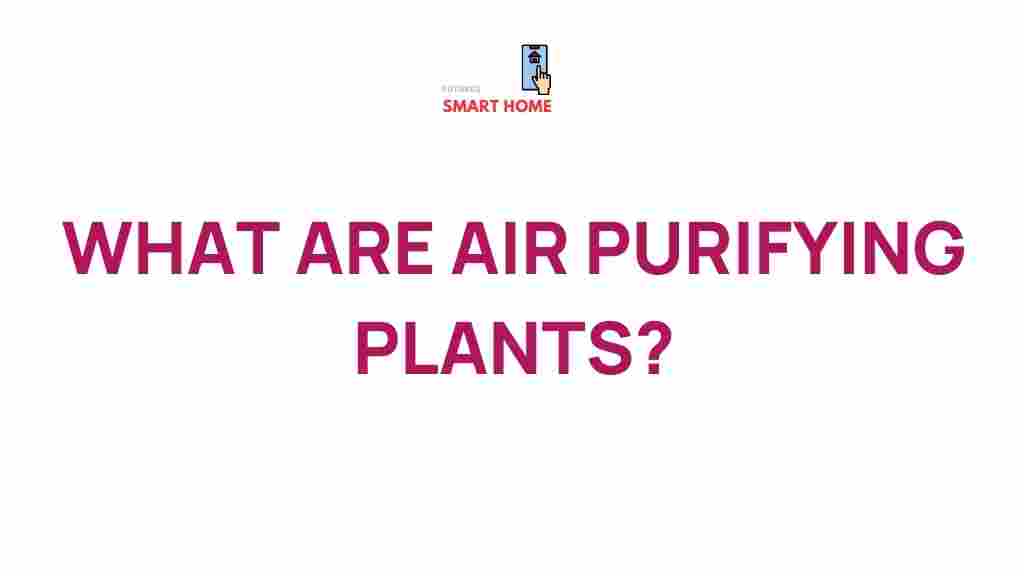 air-purifying-plants-benefits