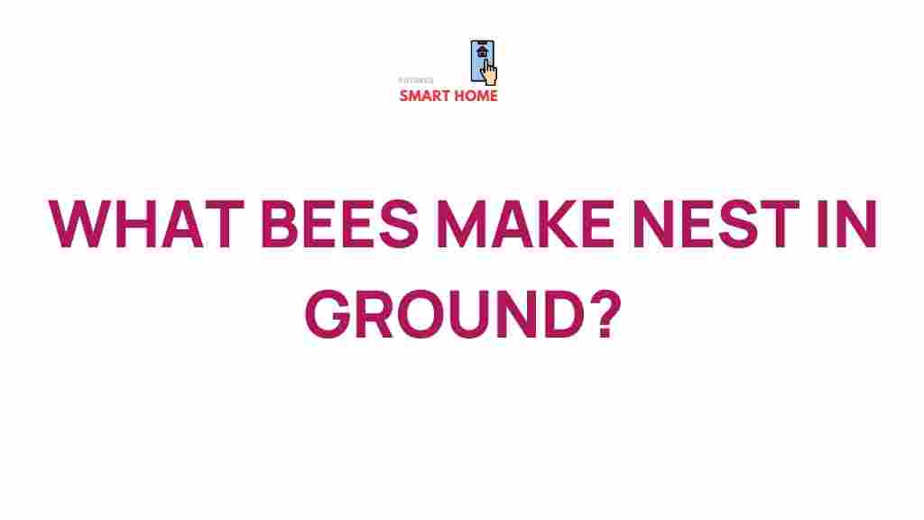 ground-nesting-bees-habitat