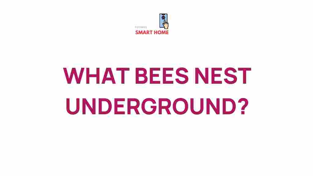 underground-bee-nests-revealed
