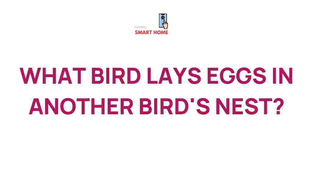 brood-parasitism-birds-lay-eggs