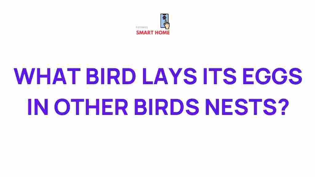 bird-lays-eggs-in-other-nests