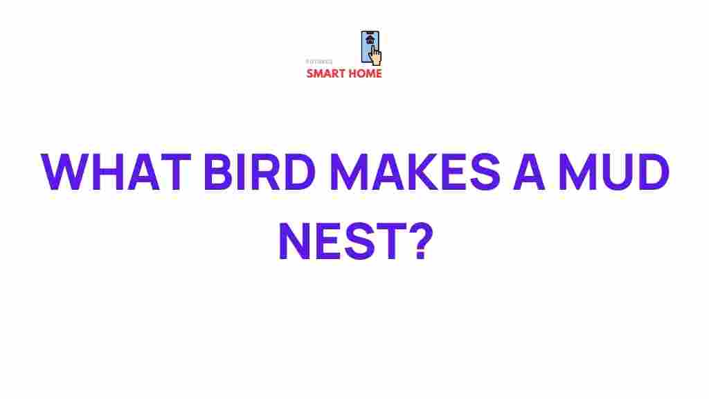 bird-mud-nest-engineering