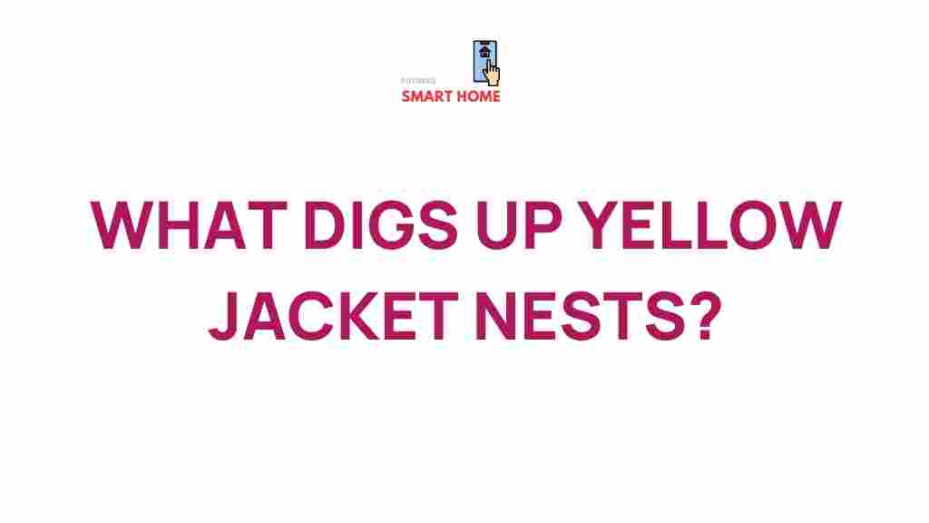 yellow-jacket-nest-discovery