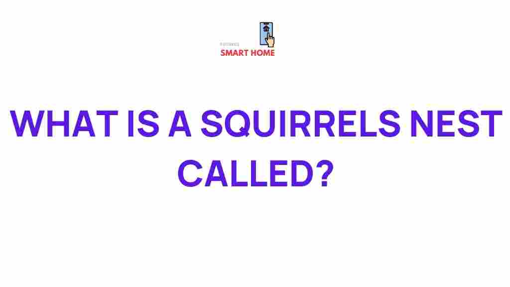 squirrel-nest-revealed