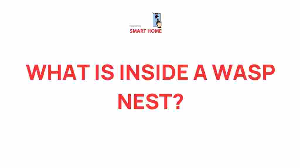 wasp-nest-exploration