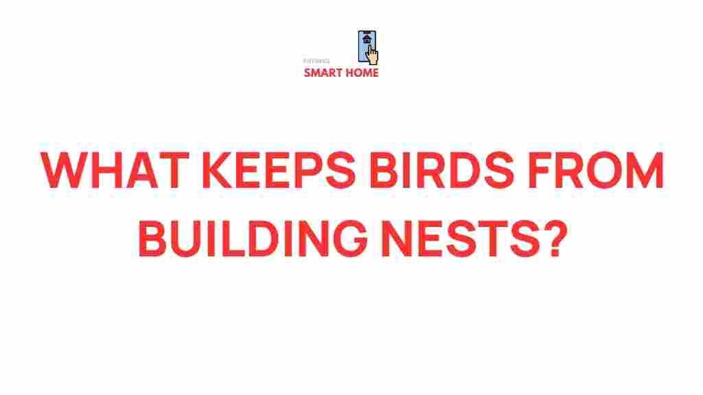 bird-nesting-locations