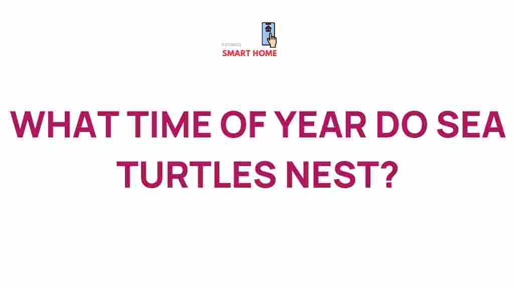sea-turtle-nesting-seasons