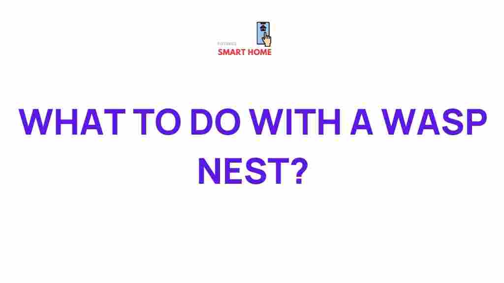 wasp-nest-dangers