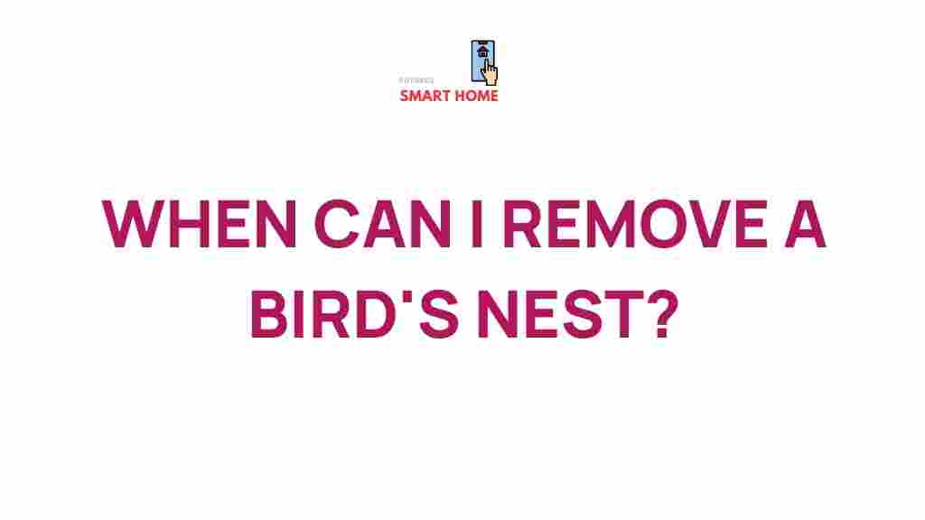 bird-nest-removal-timing