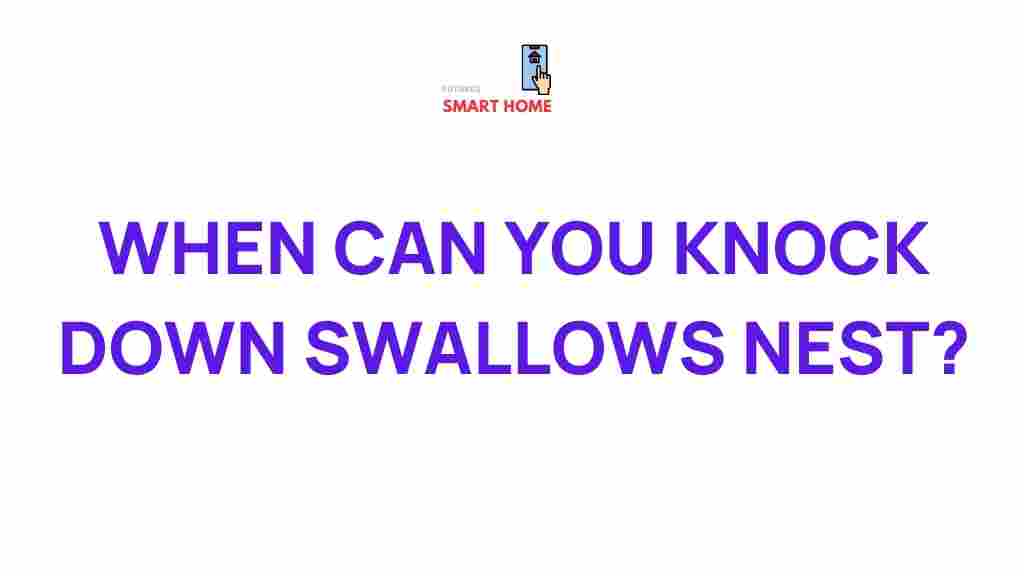 when-can-you-knock-down-swallows-nest