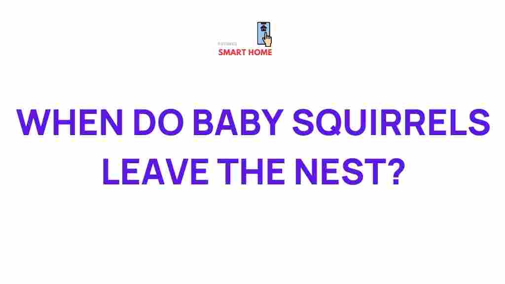 baby-squirrels-leave-nest