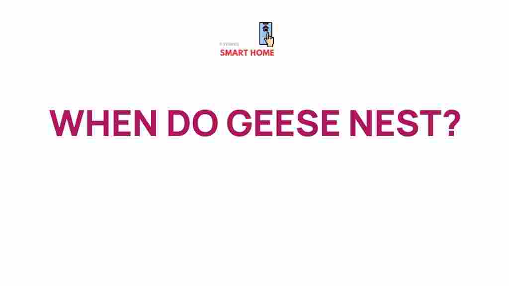 geese-nesting-habits
