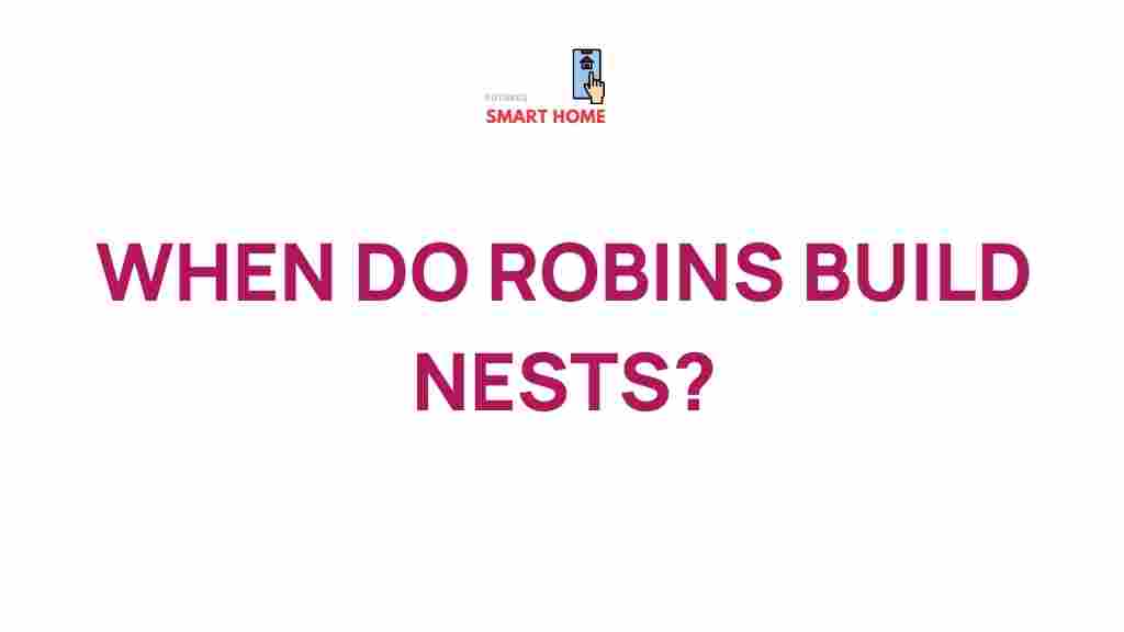 robin-nest-building