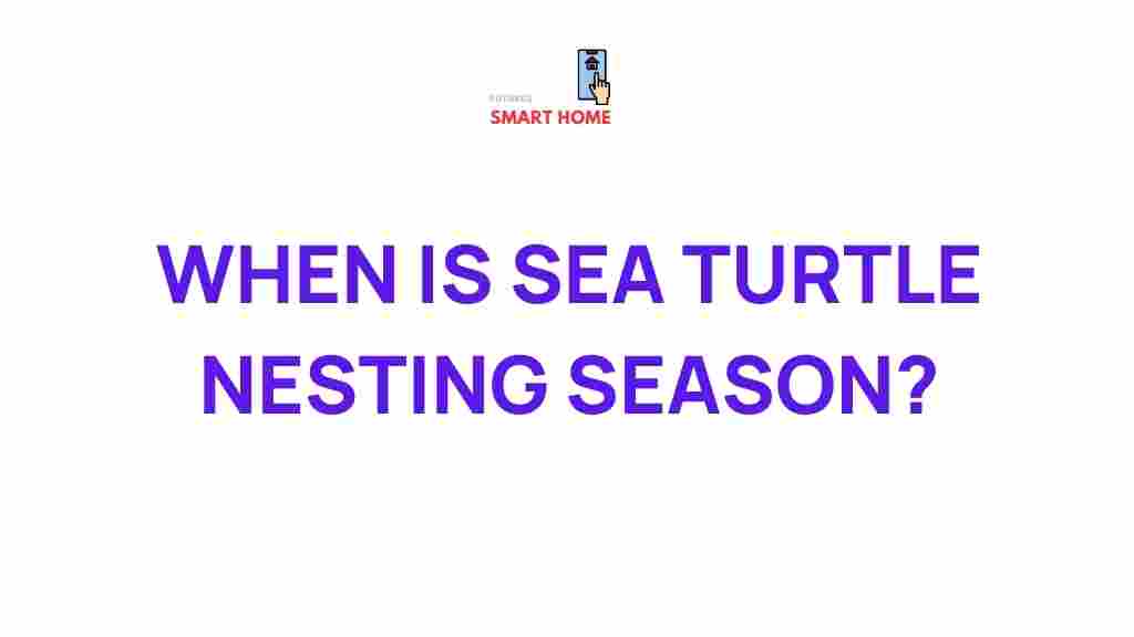 sea-turtle-nesting-season