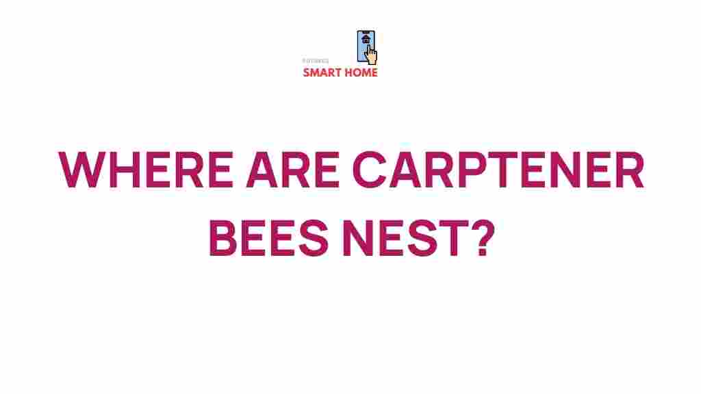 carpenter-bees-nesting-habitats