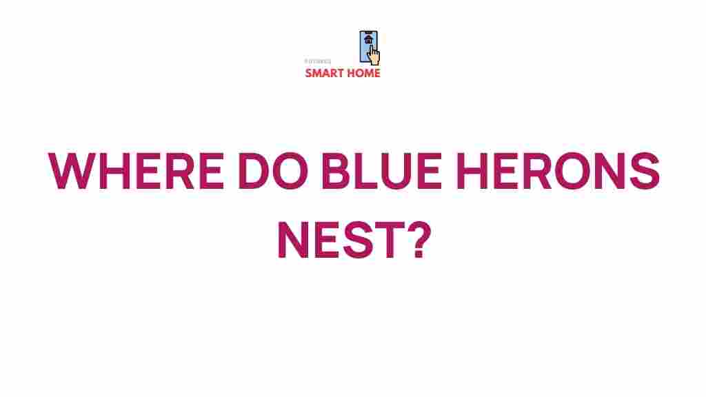 blue-heron-nesting-habitats