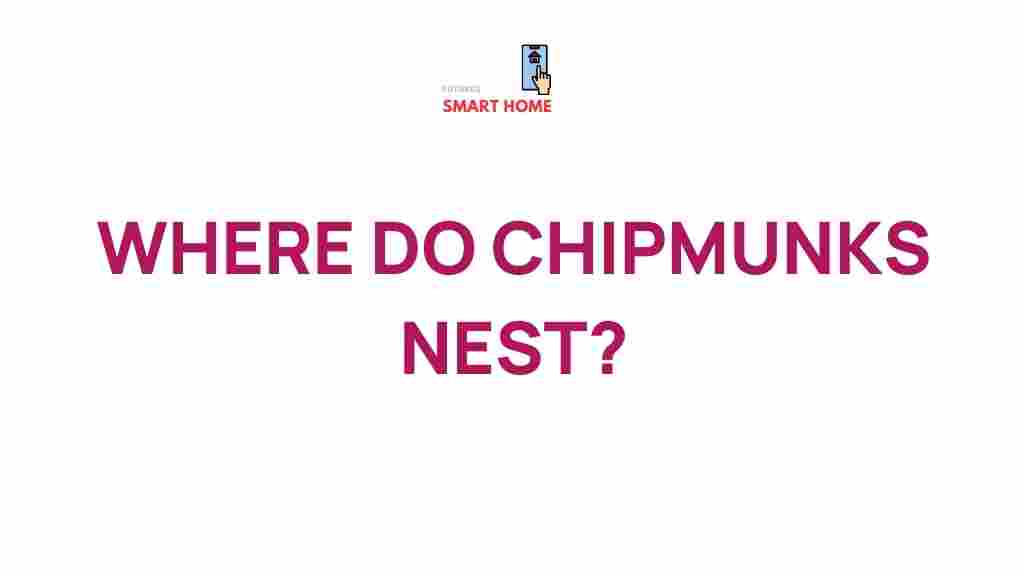 chipmunks-nest-discovery
