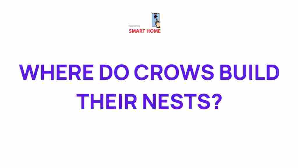 crow-nesting-habits