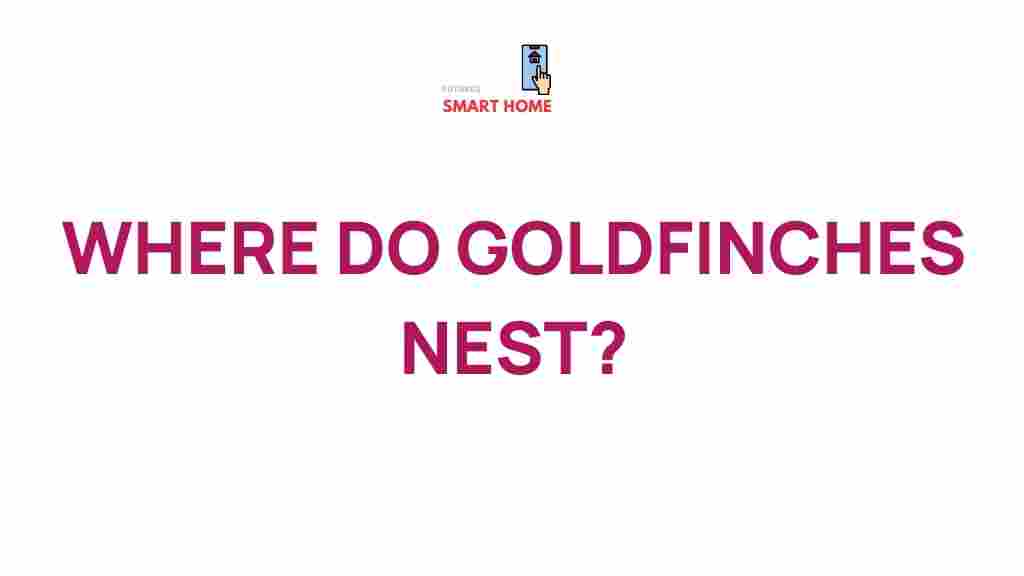 goldfinches-nesting-habits