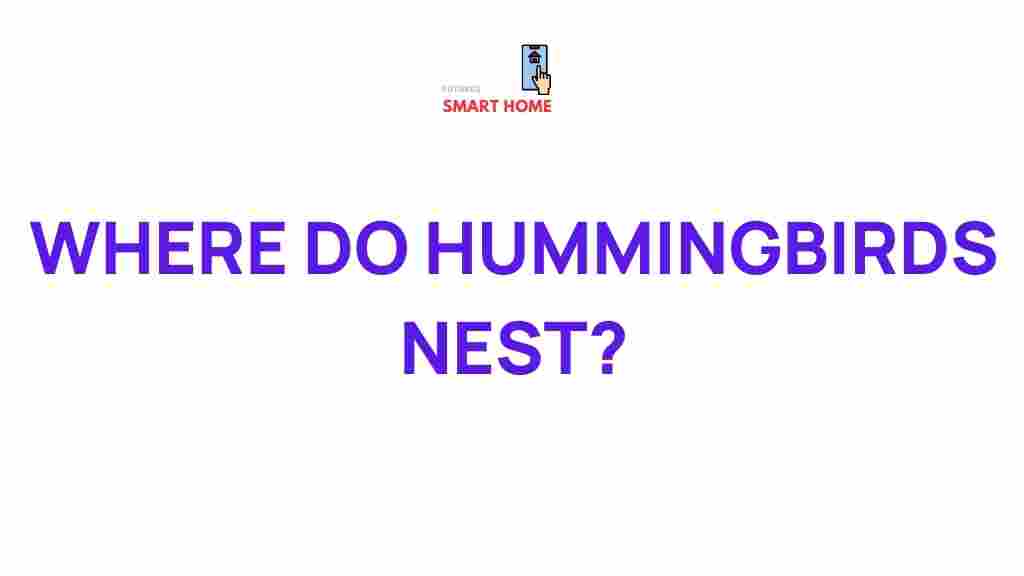 /hummingbird-nests-revealed