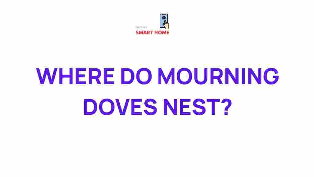 mourning-doves-nesting-habits