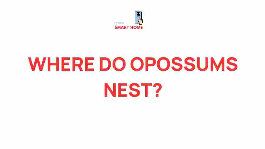 opossum-nest-discovery