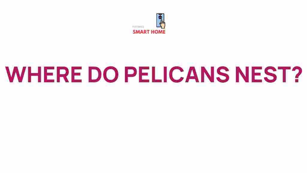 pelicans-nesting-habitats
