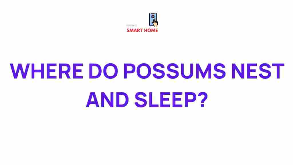 possums-nest-sleep
