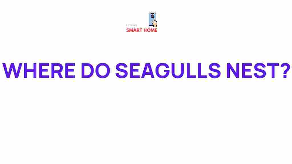 seagulls-nesting-habits