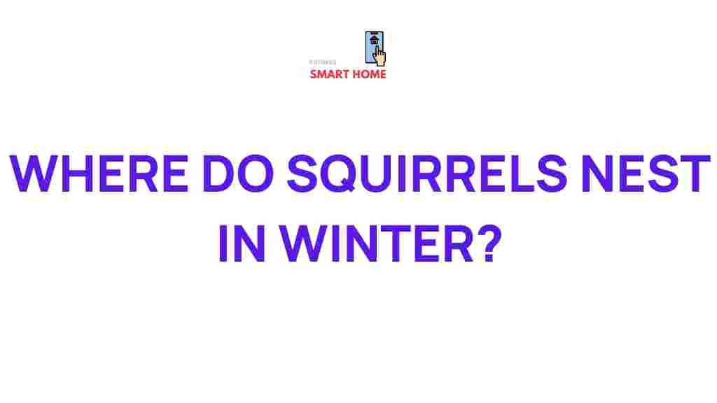 squirrel-nest-winter-homes