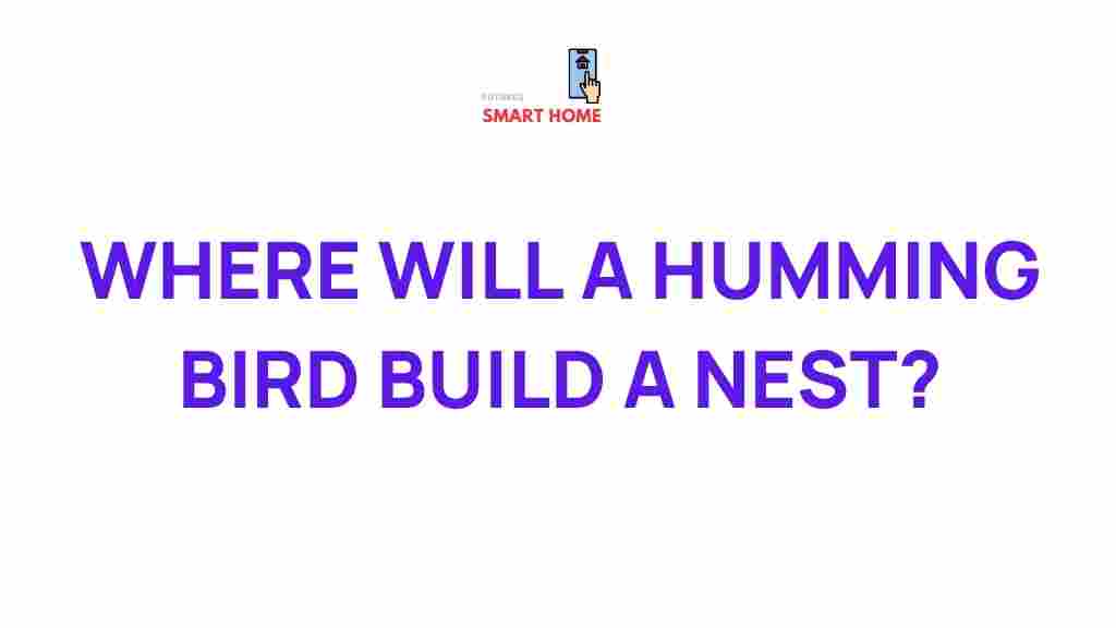 hummingbird-nesting-habits