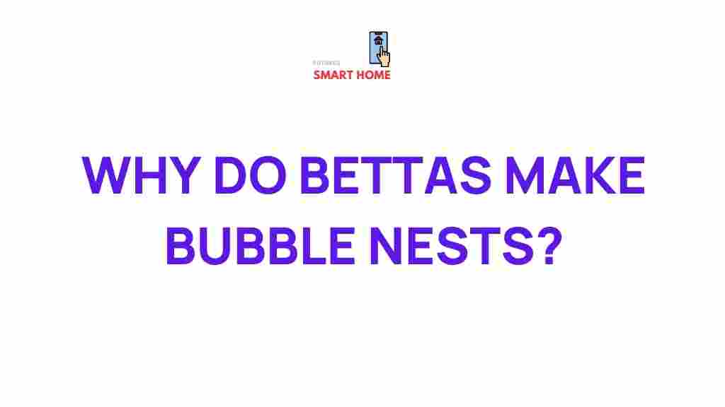 betta-fish-bubble-nests