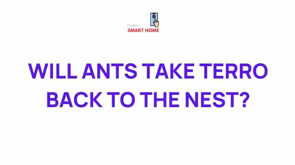 ant-behavior-terro-nest