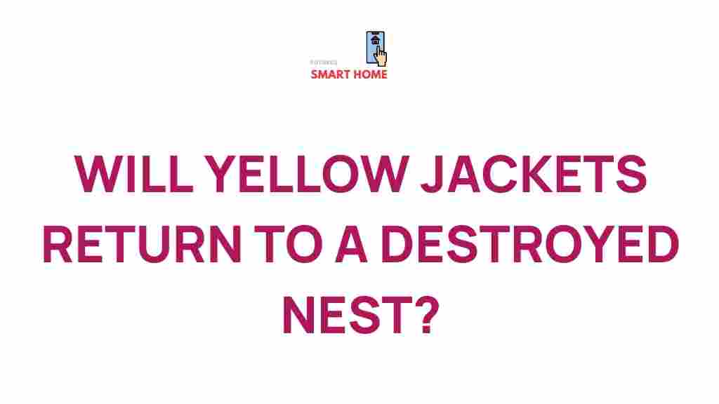 yellow-jackets-rebuild-nest